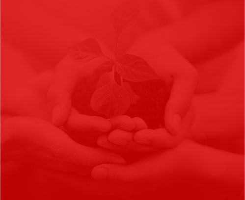 武漢網絡公司贊多多